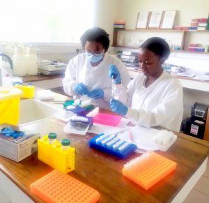 Dr. Jane Maganga (left) and Valencia at the National Institute for Medical Research in Mwanza, Tanzania, testing serum samples they collected from women in the village of Sasago