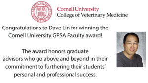 Dave Lin won the Graduate and Professional Student Assembly faculty teaching award in 2016.