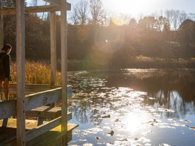 Afternoon sun warms the pergola on Houston Pond at FR Newman Arboretum.