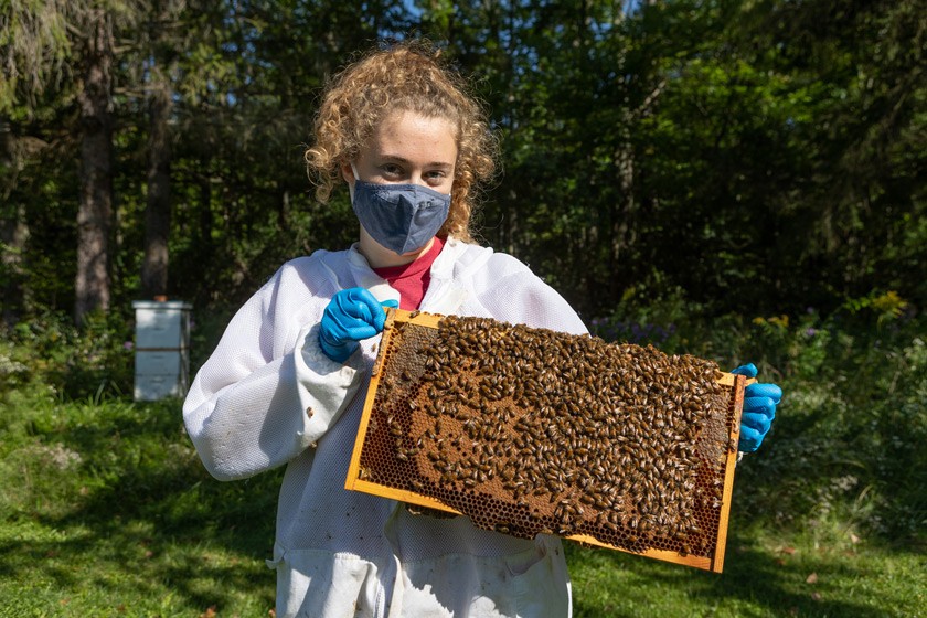 Bee Club leader Catherine Crosier ’22 holds up a frame of Honeybees.