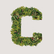 Cornell mobile background with greenery shaped into a Cornell C