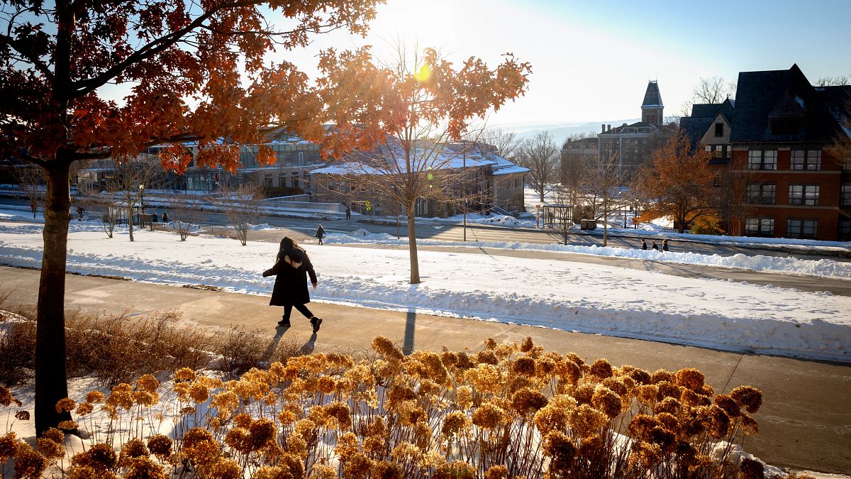 Afternoon sun adds a touch of warmth to central campus.