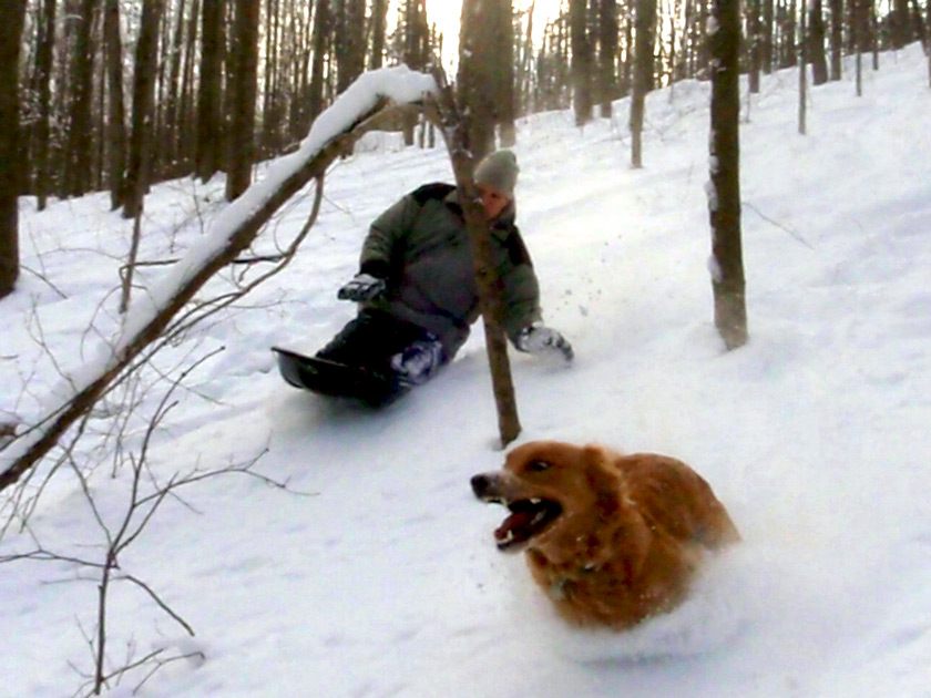 Matt Hayes backcountry glade sledding with his dog Calvin at Shindagin Hollow State Forest. “Dogs love to run next to you on sleds, as you are down on their level, and—for once—you seem to be as oriented towards fun as they are!” Matt says.