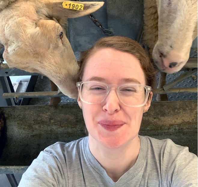 Leanna Mulvihiil MS ’20 at Willow Pond Sheep Farm. In 2021, Leanna worked there milking sheep on the weekends.
