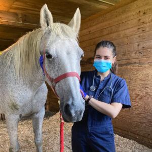 Maryna practices doing a physical exam on a horse at the Cornell College of Veterinary Medicine in September 2021
