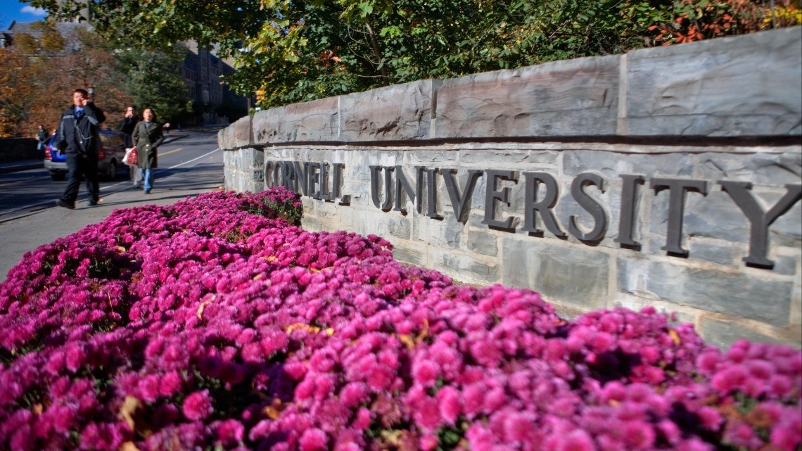 Flowers along the Cornell University sign