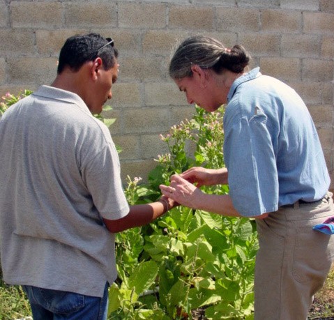Sandy with her colleague Juan Tun in Mexico looking at tobacco growing in a local garden Credit: Maria Peña-Chocarro