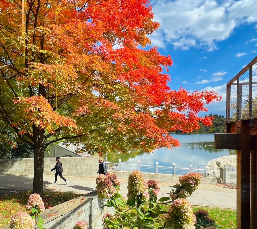 Fall colors Alumni, parents, and friends Cornell University