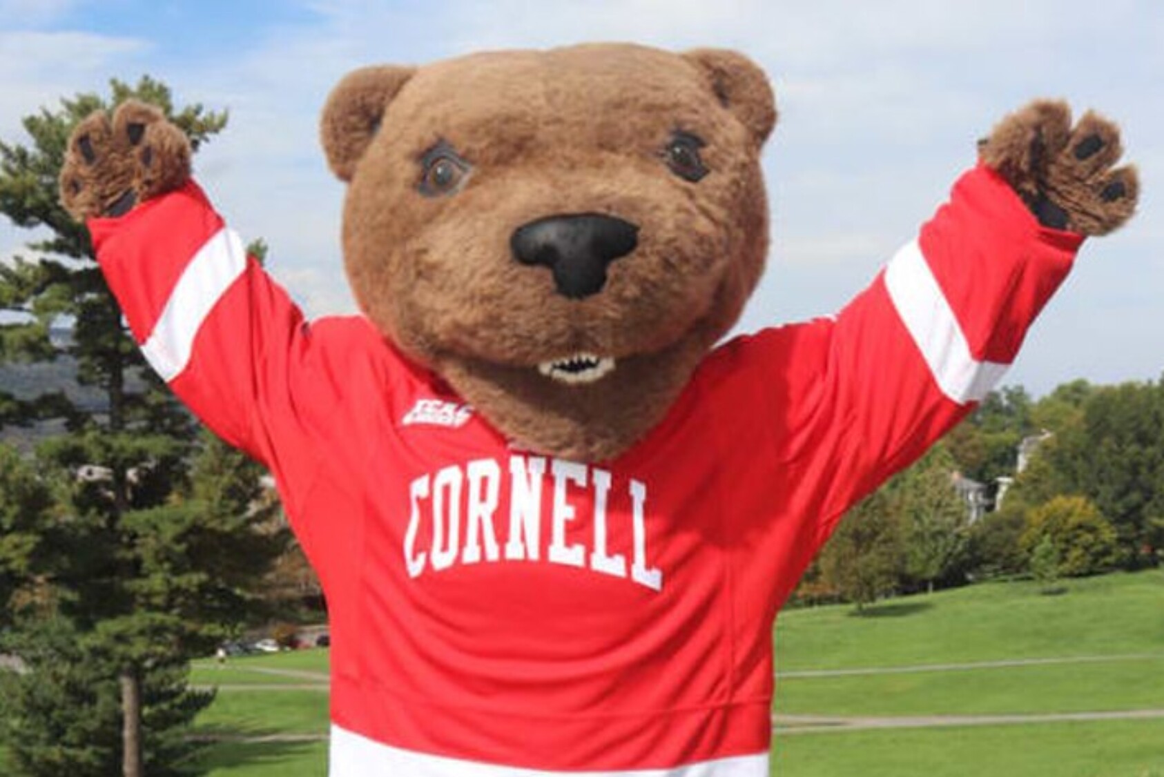 Help Big Red Bears purchase a limited use vehicle (street-legal golf cart) to transport Touchdown the Bear mascot to the many events he appears at around campus.
