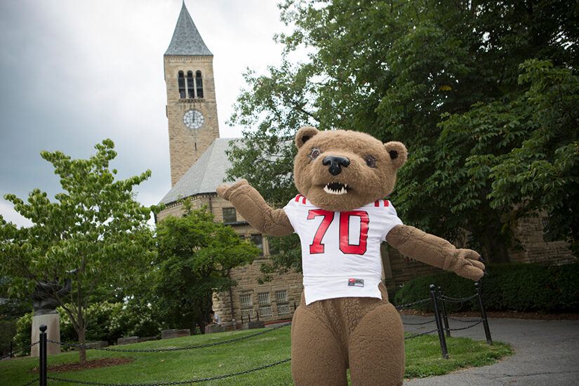 The Big Red Bear near McGraw Tower.