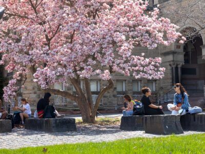 Members of the Cornell community gather outside Uris Library on a warm spring day.