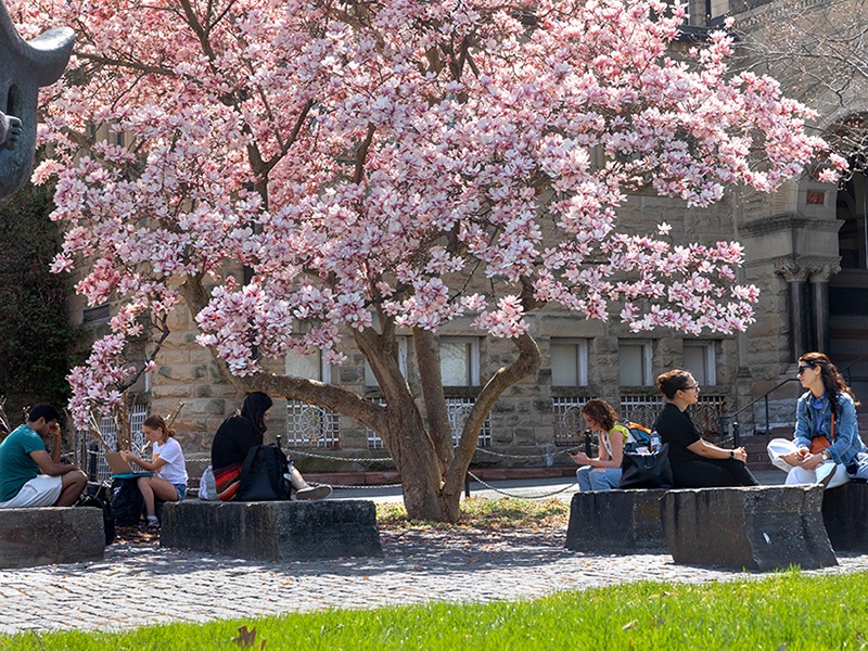 We know you've got some STRONG feelings about weather. Which is your favorite Ithaca season?