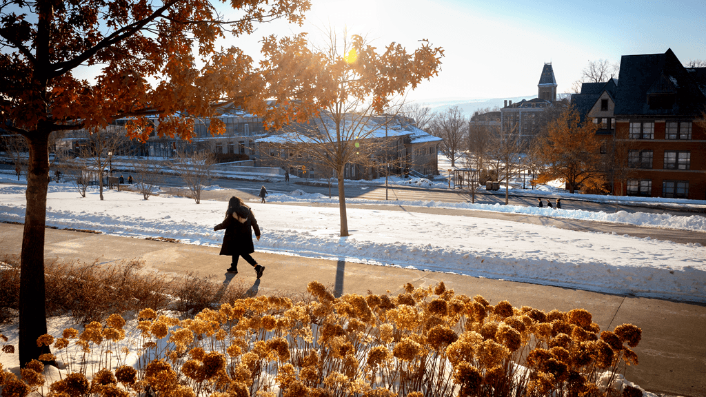 Afternoon sun adds a touch of warmth to central campus