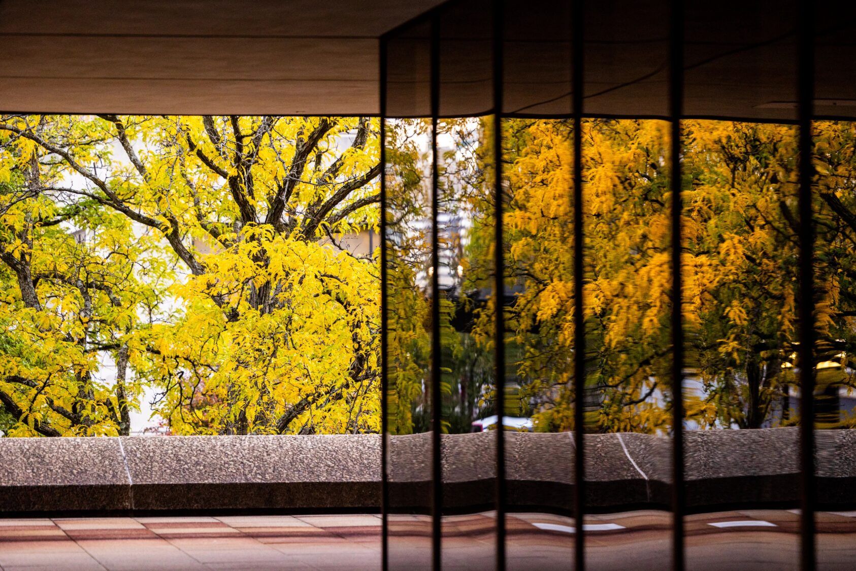 Cornell on careers Alumni, parents, and friends Cornell University