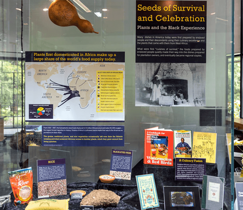 Seeds of Survival exhibit