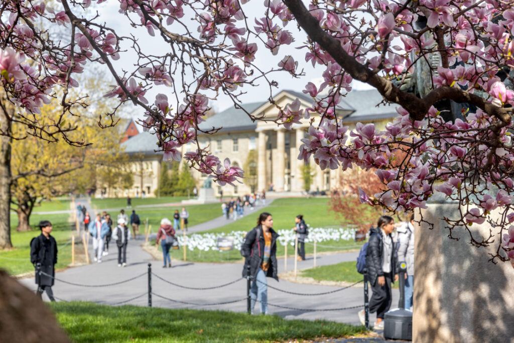 Students cross the Arts Quad on a sunny spring afternoon.