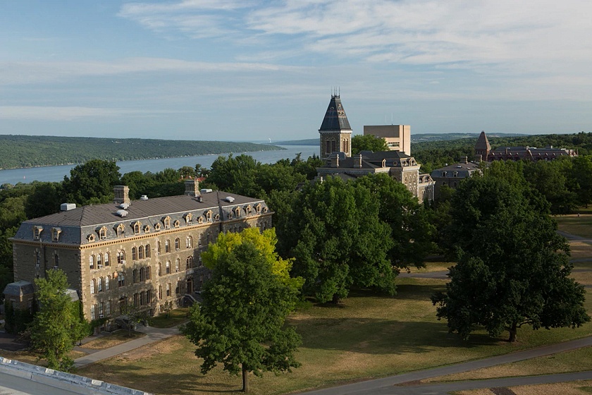 Bird's eye view of the Arts Quad in summer.