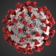 A digital rendering of the COVID 19 virus