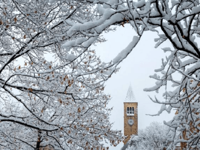McGraw clocktower captured through snowy berry tree limbs