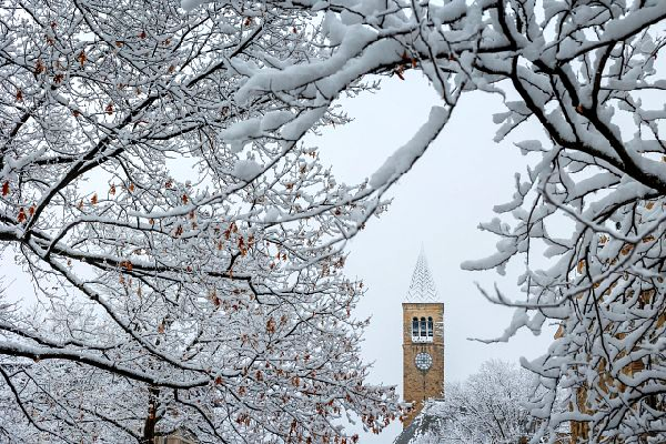 Pick your favorite winter campus scene: