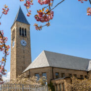 Scenes from around campus on a sunny spring day.
