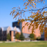 North Campus on a sunny autumn day. Mews Hall and Ruth Bader Ginsburg Hall in the background.