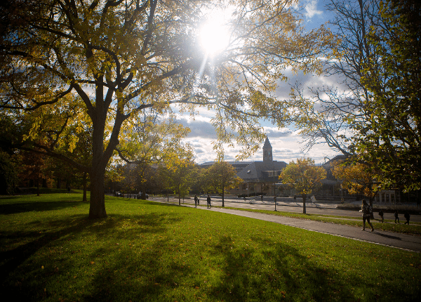 A sunny day on Cornell's Ithaca campus.