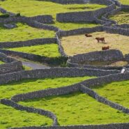 Ireland's stone farming walls