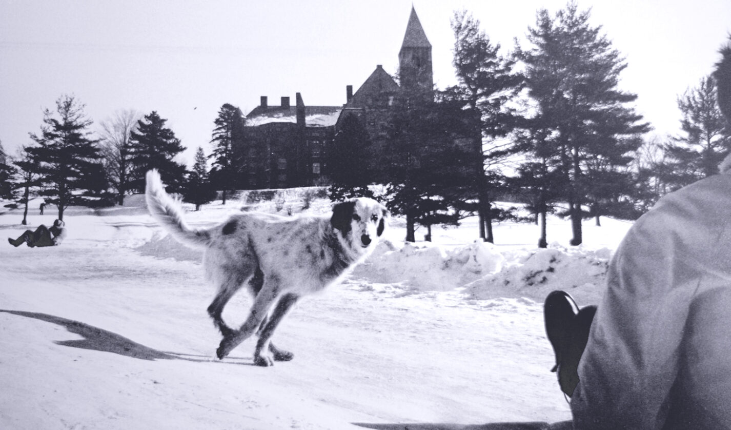 black and white photo of dog on winter campus