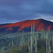 Mountains outside of Santa Fe