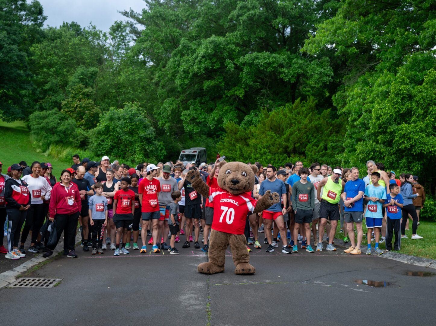 Touch down the cornell mascot bear stands in front of the Reunion 5k crowd triumphantly