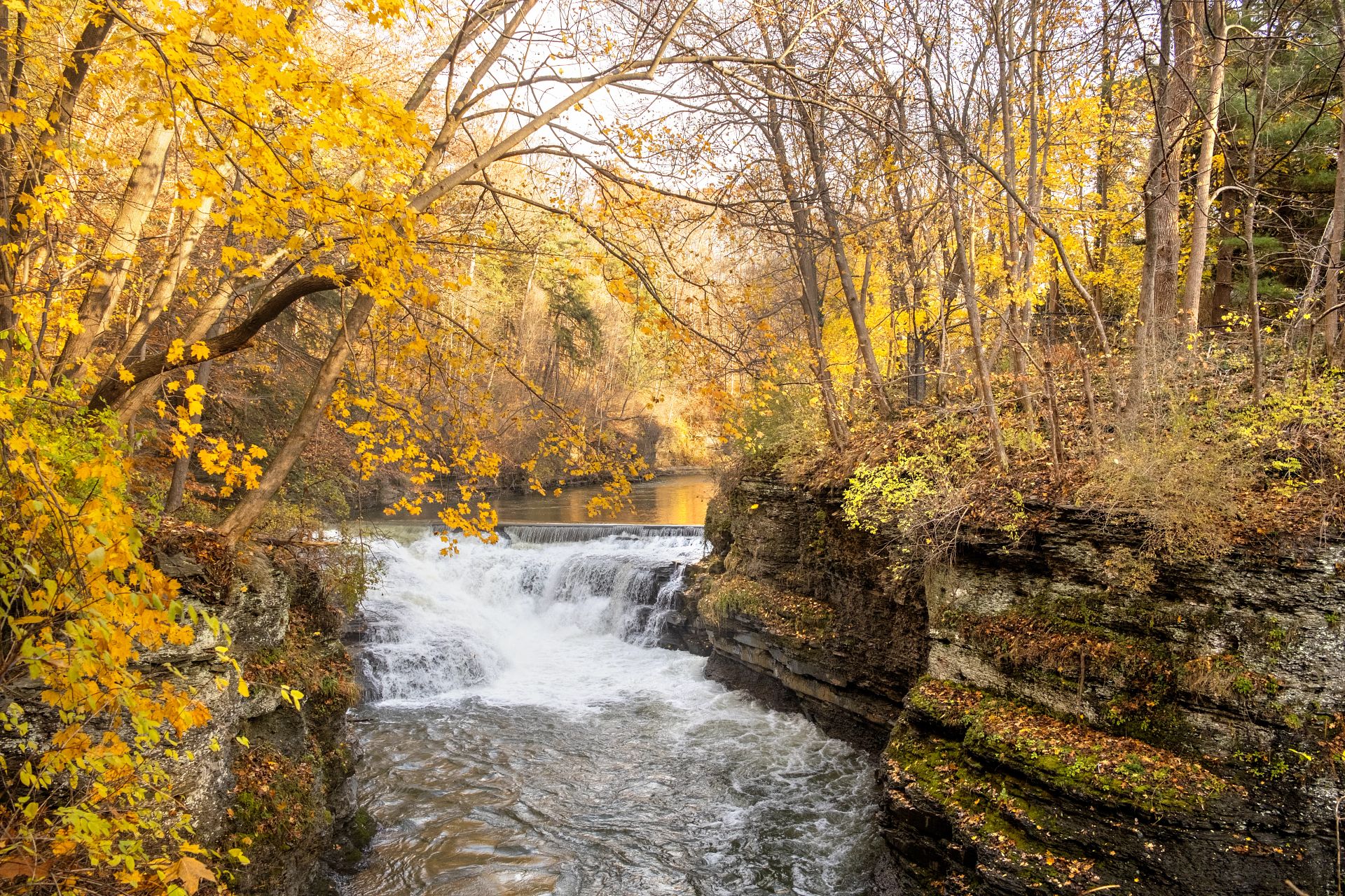 Choose your favorite campus or Ithaca-area hike: