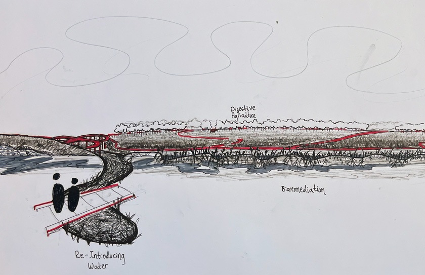 Sovereignty of the Land: “My goal is to steward the landfill, so that it can eventually sustain itself. My design would bring back Black Brook, reconnecting it through wetlands to recreate the natural ecosystem. Large-scale biodigesters would extract methane gas and produce solid matter that can be used as fertilizer to cultivate the land. Species like sunflowers would be planted to detoxify the landfill’s soil, and people will oversee the restoration of the air, the water, and the land.” —Angel Selenis ’26