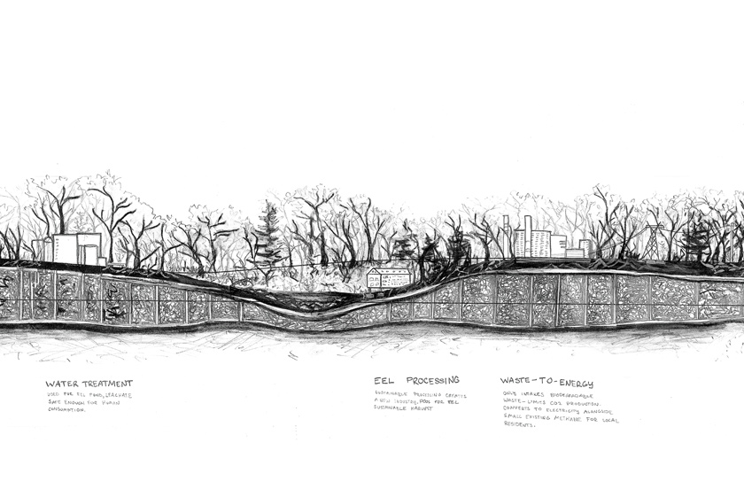 Eel industry and the Seneca Meadows Landfill, year 2200 (Graphite, Gouache): “My vision focuses on undamming the Seneca-Cayuga River, which has been dammed and channelized since 1813, to allow the eels to return. To help bring back the eels and a healthy ecosystem, my design includes a water treatment plant that will feed safe, drinkable water into other systems on the site, including an eel processing plant that supports food sovereignty for the Haudenosaunee.” —Mia Arruda ’26