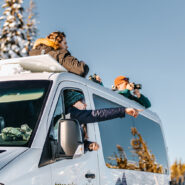 Wolves and Wildlife with Cornell Alumni Travel in Yellowstone