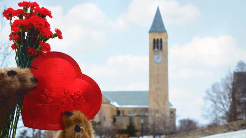Touchdown Valentine