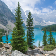 See the Canadian Rockies by rail with Cornell Alumni Travel.