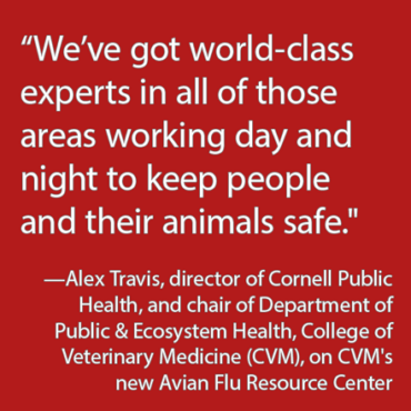 CVM's bird flu resource center shares how to reduce the risk of exposure and protect human health, as well as that of our pets and livestock.