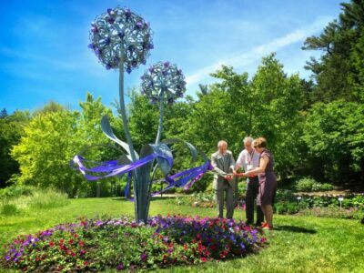 Double Allium by Jenny Pickford