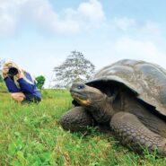 Get up-close in the Galapagos.