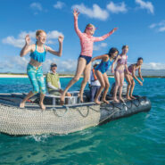 Swim in the Galapagos with CAU!