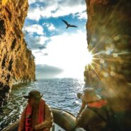 Expedition-style voyage