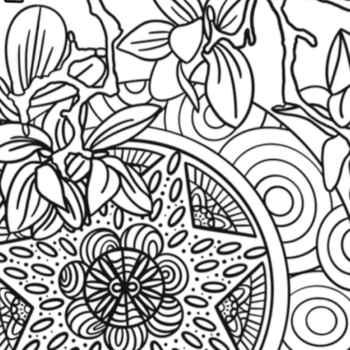 Magnolia coloring page preview