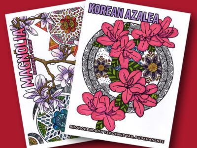 coloring page previews