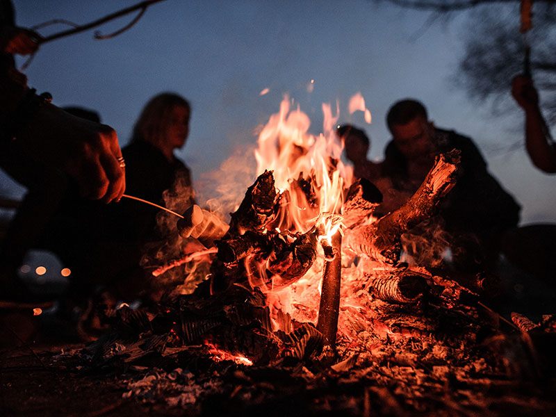 It’s a Friday night and you are not in a party vibe, what is your ideal night?