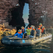 A Zodiac cruise in Baja California