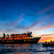The National Geographic Venture