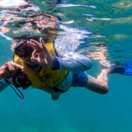 Snorkel in the crystal-clear waters of Baja California