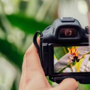 Photographer taking picture of flower