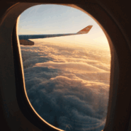 Depart for your flight!